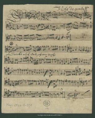 Viola da gamba 2.