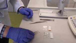 Differential Scanning Calorimetry