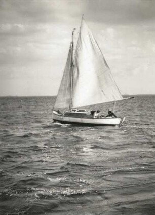 Segler auf der Ostsee nahe der Insel Hiddensee