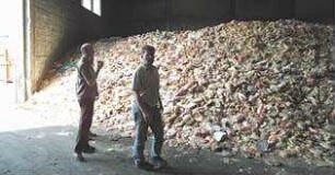 Taste the Waste