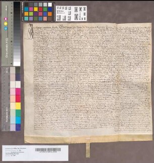 Decretum silentii in betref des Peter Farwicks Hauses, und dabei gelegenen Hofes aufm grael.
