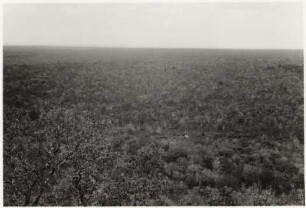 Ausblick vom Tafelberg in Richtung Westen : 24,86 km westlich von Nioaque, Höhe: ca. 460 m
