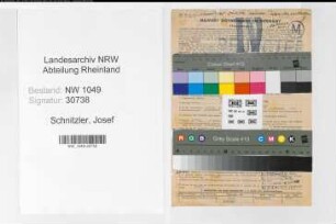 Entnazifizierung Josef Schnitzler , geb. 30.06.1900 (Lademeister)