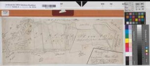 Hesseln (Halle) Holtfeld (Borgholzhausen) Teilung der Großen Steinheide 1774 50 Ruten = 7,6 cm 23 x 61,5 kol. Zeichnung M. C. L. Reinhold Spez.Verz. Markenkarten X Nr. 53,II
