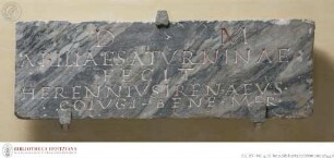 Tafel mit Grabinschrift "D(is) M(anibus) // ABILIAE SATVRNINAE..."