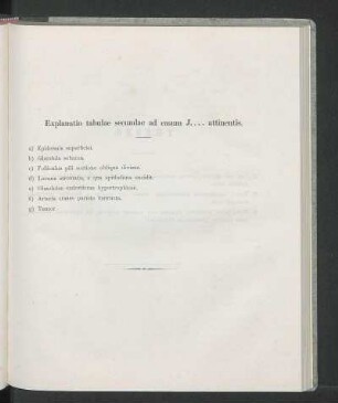 Explanatio tabulae secundae ad casum J.... attinentis.