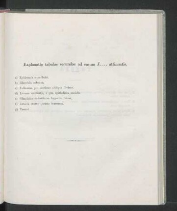 Explanatio tabulae secundae ad casum J.... attinentis.