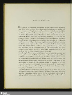 Jungfer Kümmernis