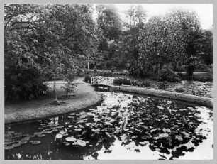 Buitenzorg (Bogor), Java/Indonesien. Botanischer Garten (1817; K. G. K. Reinwardt). Lotusteich mit Steg