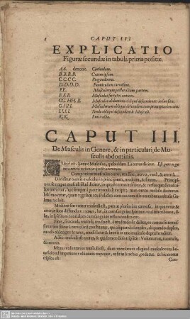 Caput III. De Musculis in Genere, & in particulari de Musculis abdominis