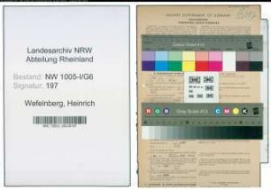 Entnazifizierung Heinrich Wefelnberg , geb. 08.09.1897 (Lehrer)