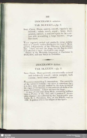 Inoceramus dubius. Tab. DLXXXIV.—fig. 3