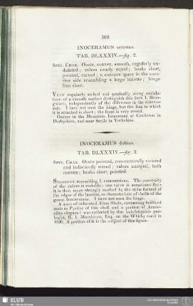 Inoceramus dubius. Tab. DLXXXIV.—fig. 3