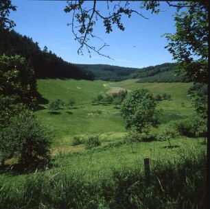 Odenwald. Im Gammelsbachtal zwischen Beerfelden und Eberbach