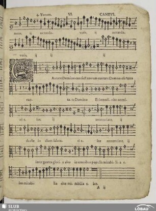 VI. Cantate Domino canticum novum