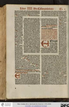 Scienter contrahens matrimonium in gradu consanguinitatis vel affinitatis prohibito...