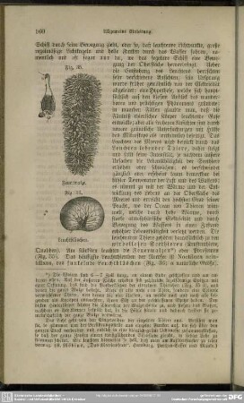 Fig. 35. Feuerwalze