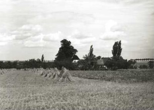 Ackerbaulandschaft mit Dorf und Erntefeldern im Tiefland