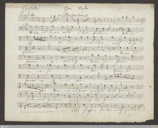 Bass (5 Stimmen)