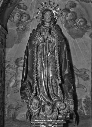 Immaculata