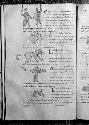 Isidorus Hispalensis, De natura rerum, Etymologiae (lib. 3, interpol.); Computus (1-72r); Isidorus Hispalensis, Sententiae (73v-93). — Sternbilder, Folio fol. 27v