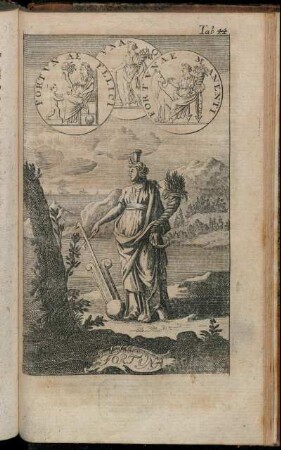 Tab. 44. Fortuna