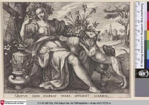[Geruch; Smell]