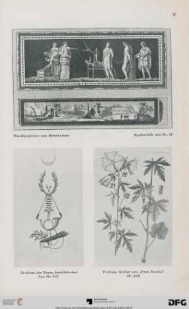 Tafel V-VIII