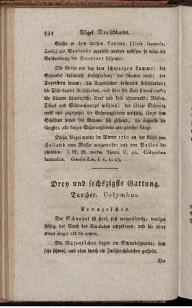 Drey und sechszigste Gattung. Taucher. Colymbus.