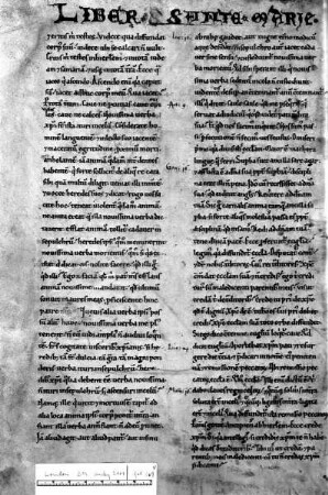 Buchseite "Liber Santa Marie", Folio 169 verso