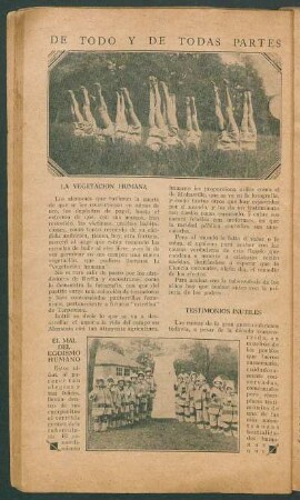 Testimonios inútiles