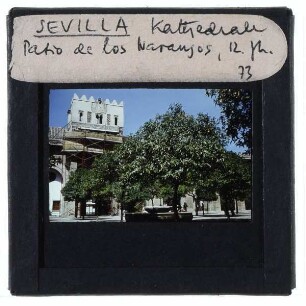 Sevilla, Kathedrale : Patio de los Naranjos