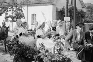 Festumzug beim Hahnrupfen in Neuendorf : Swjedźenski ćah při łapanju kokota w Nowej Wsy : Neuendorf / Nowa Wjas (Picnjo)