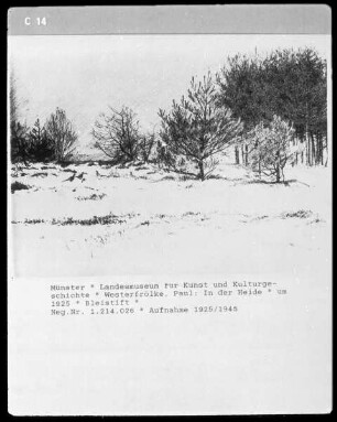 In der Heide