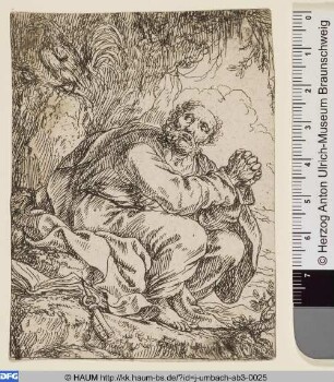Der reuige Petrus