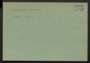 Waldhauser, Wilhelm