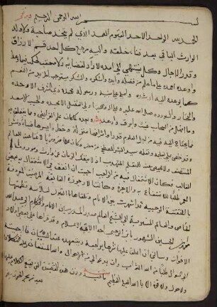 al- Fawāʾid as-sanīya fī šarḥ ar-Raḥbīya