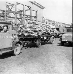Fleischtransport im Berliner Schlachthof