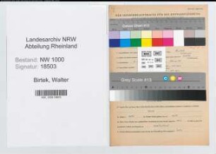Entnazifizierung Walter Birtek, geb. 02.12.1912 (Bauingenieur)