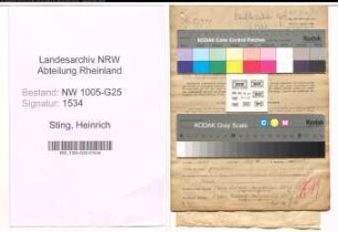 Entnazifizierung Heinrich Sting , geb. 19.01.1902 (Handelsvertreter)