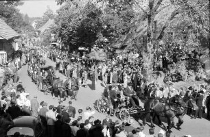St. Märgen: Tag des Schwarzwälder Pferdes; Festzug durch den Ort (von oben)