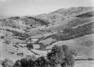Getreidefeld : Getreide und Weiden an den Hängen der Berge