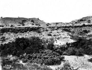Vegetationslandschaft : Blick über eine Vegetationslandschaft.