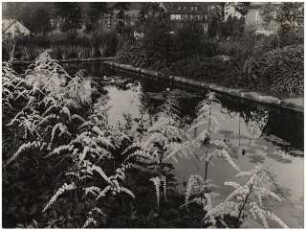 Garten Wibranetz, Lichtenstein: Gartenteich