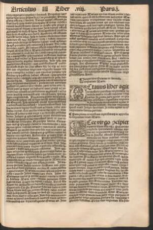 Incipit liber Octavus de sanctissima virginitate Marie.