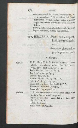 187. Hesperia.
