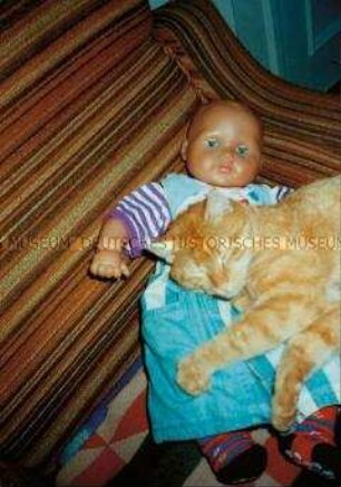 Rotgetigerte Katze schläft auf einer Puppe (Altersgruppe bis 14)