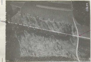 Wegkreuzung östlich Gräfelfing (1000 m)