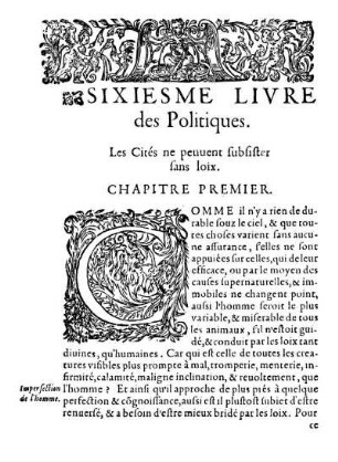 Sixiesme Livre des Politiques.