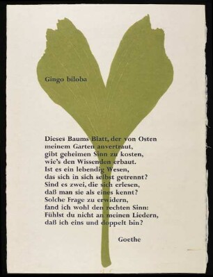 Ginkgo biloba